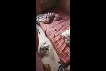 Di Kamar Pacar Ngentot Panas Sange Amatir